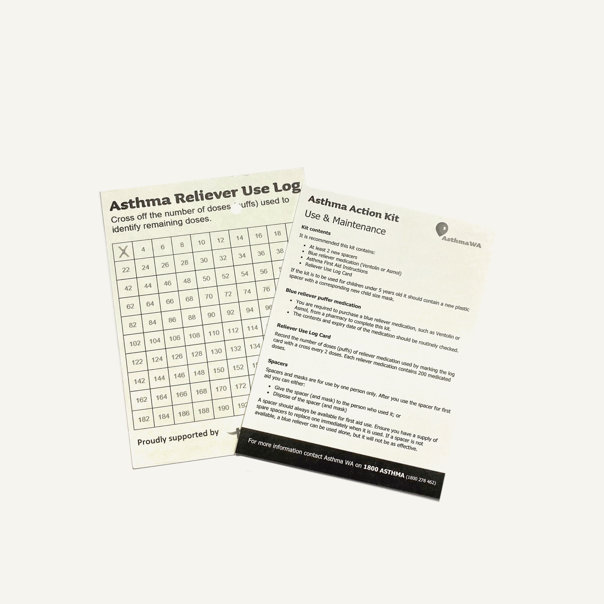 Asthma Action Kit - Large